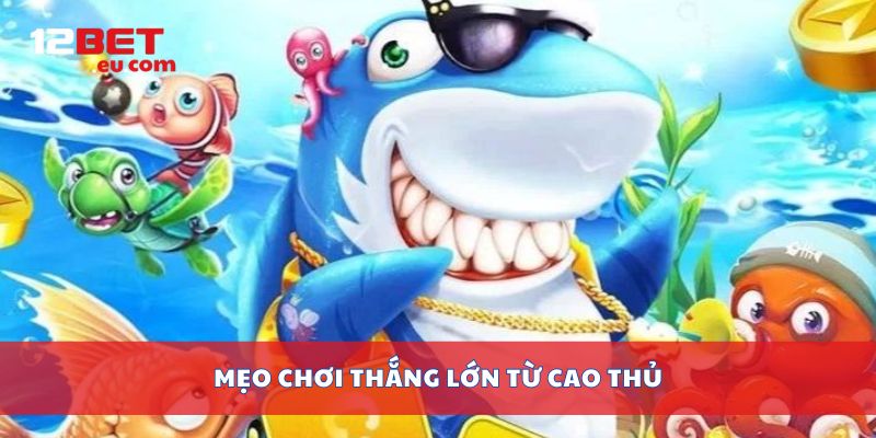 Mẹo chơi thắng lớn từ cao thủ