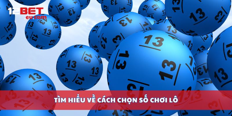 Tìm hiểu về cách chọn số chơi Lô
