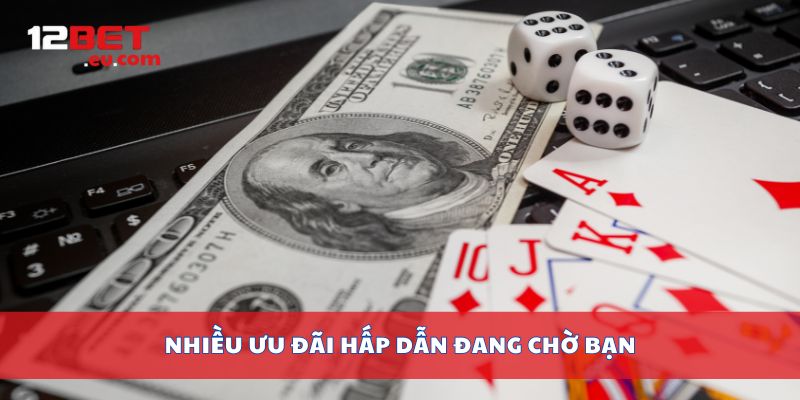 Nhiều ưu đãi hấp dẫn đang chờ bạn