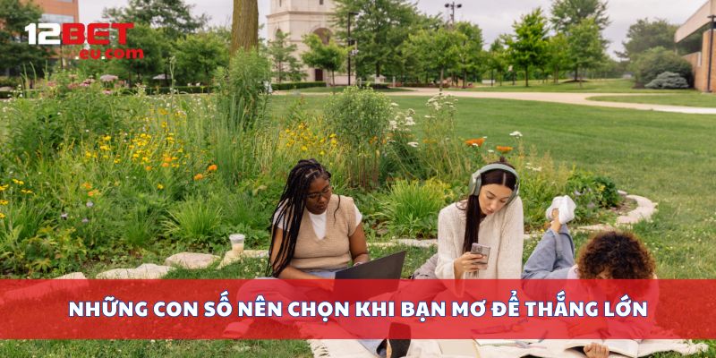 Những con số nên chọn khi bạn mơ để thắng lớn