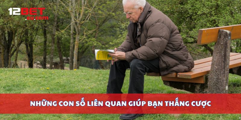Những con số liên quan giúp bạn thắng cược