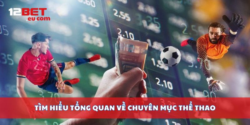 Tìm hiểu tổng quan về chuyên mục thể thao